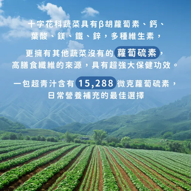 【Dr. Ginger 薑博士】超青汁6盒組(30包/盒;花椰菜苗/羽衣甘藍/蘿蔔硫素)