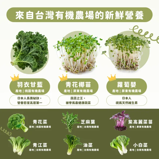 【Dr. Ginger 薑博士】超青汁4盒(3g/30包/1盒/花椰菜苗/羽衣甘藍/蘿蔔硫素)