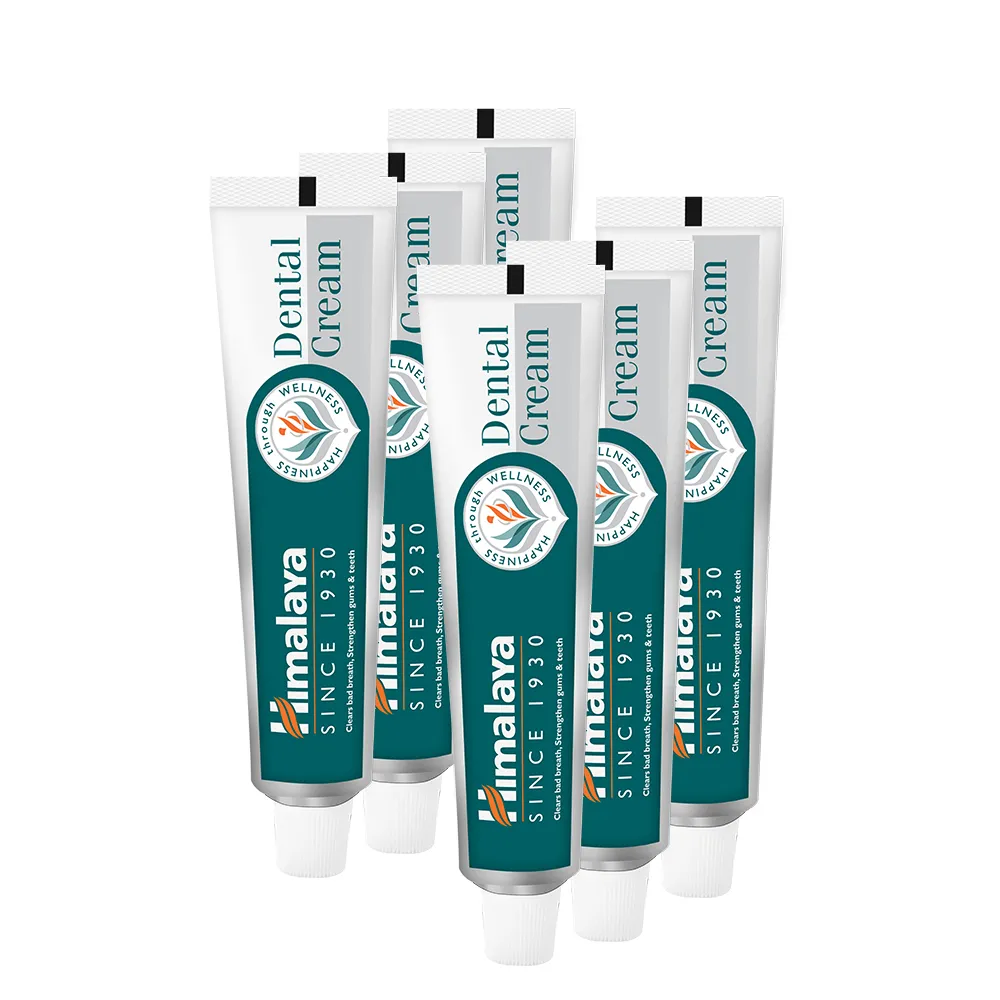 【Himalaya 喜馬拉雅】原廠草本牙膏100gX6入(草本/護齦配方)