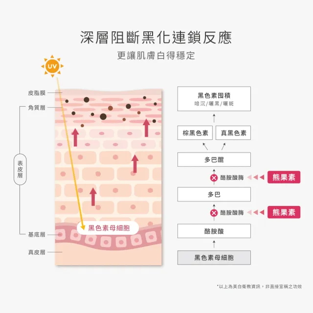 【荷麗美加】WHITE全效美白方程式水凝乳30ml(鎖白抗黑首選)