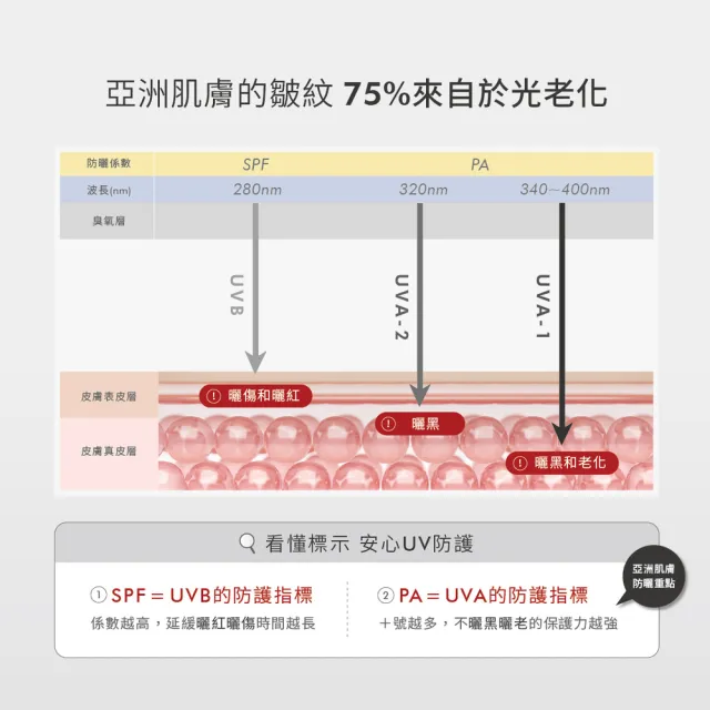 【荷麗美加】上麗高效水防曬60ml-2入組(AA無色保濕+DD潤色遮瑕/防曬/美白/抗老/抗黑)