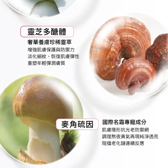 【華寶生醫】HB BEAUTY 晶萃膠原絲泌緊緻霜(牛奶外泌體科技)