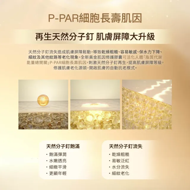 【伊麗莎白雅頓】官方直營 黃金肌因修護膠囊 30顆(抗老/緊實/修護)