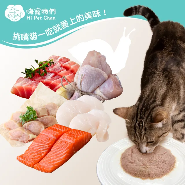 【hipetchan 嗨寵物們】98％鮮肉量 無膠主食罐80gx6入(貓主食罐 貓罐頭 貓食 全齡貓 幼貓 純肉 無膠 濕食)