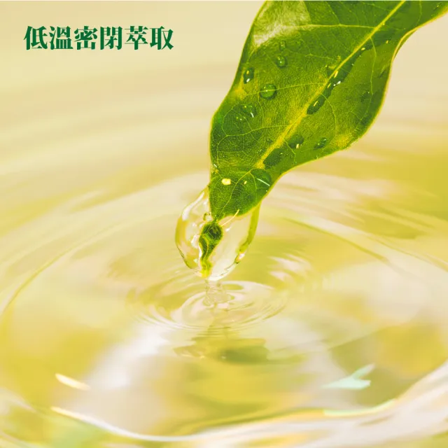 【IRIS】RYOKU綠綠茶500mlx24入/箱(官方直營/日本進口/日本茶葉/綠茶/茶葉/日本茶/即飲茶)