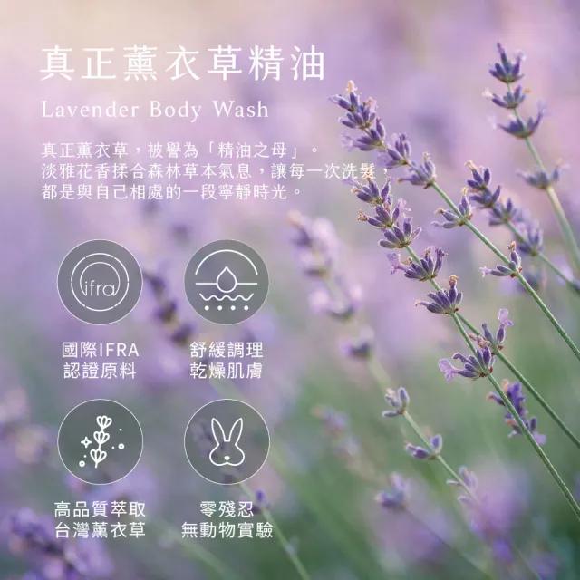 【LAVENDER FOREST 薰衣草森林】薰衣草洗髮露 350ml