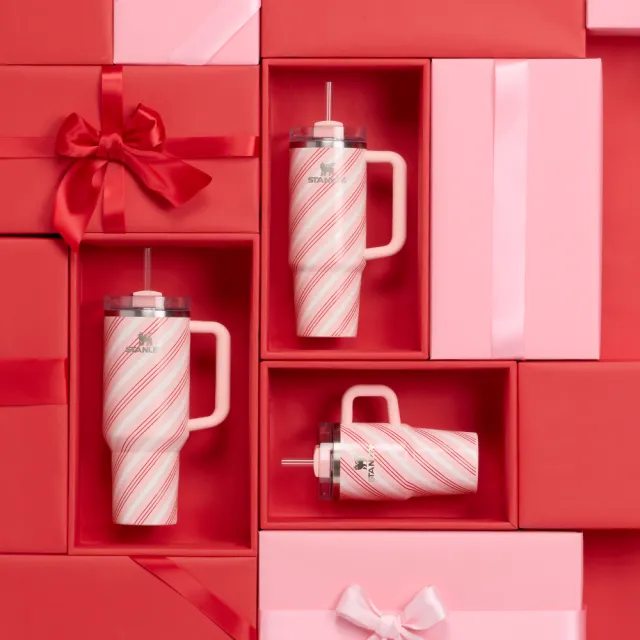 【STANLEY】官方直營 冒險系列 吸管隨手杯2.0 0.59L(全色)