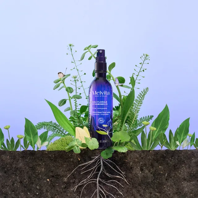 【Melvita 蜜葳特】金縷梅花粹(200ml)