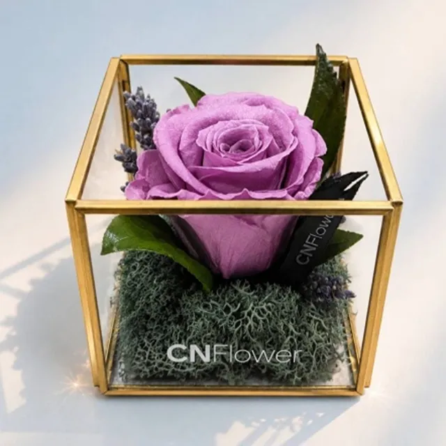 【CNFlower 西恩】花映時光 恆星花禮(方形金邊花器8cm)