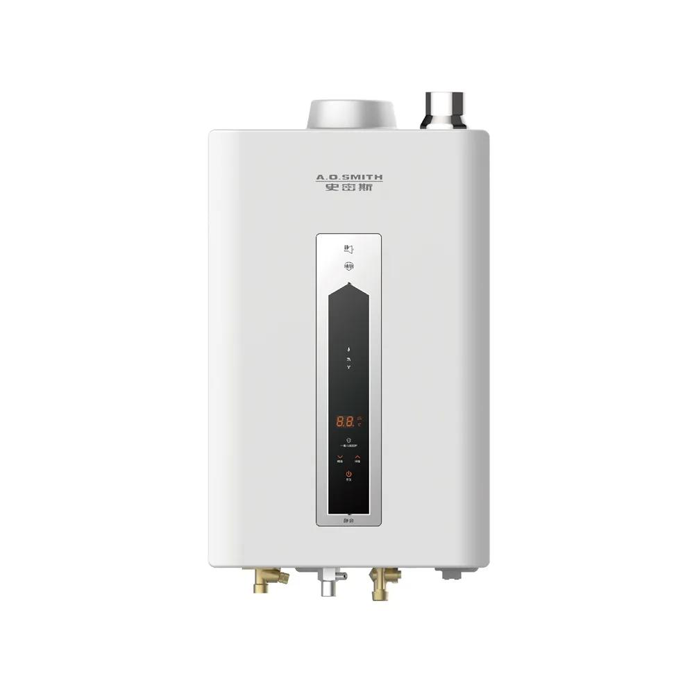 【A.O.Smith】AO史密斯 不鏽鋼瓦斯熱水器16L (JSQ31-ST16T NG1/FE式 含基本安裝 適用天然氣)