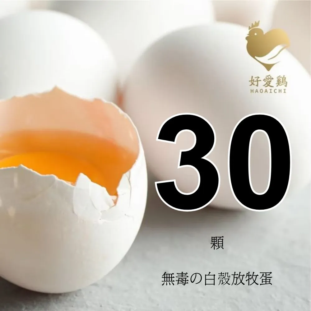 【HAOAICHI 好愛雞】無毒の白殼放牧蛋 小家庭3盒 共30顆(10顆/盒)非籠飼 無藥殘 無毒飼料 雞蛋