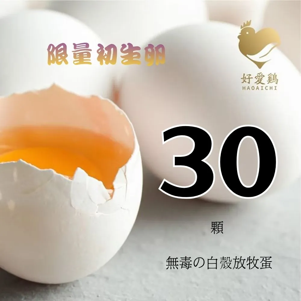 【HAOAICHI 好愛雞】限量初生卵 無毒の白殼放牧蛋 小家庭單盤 共30顆組(30顆/盤) 非籠飼無藥殘無毒 雞蛋
