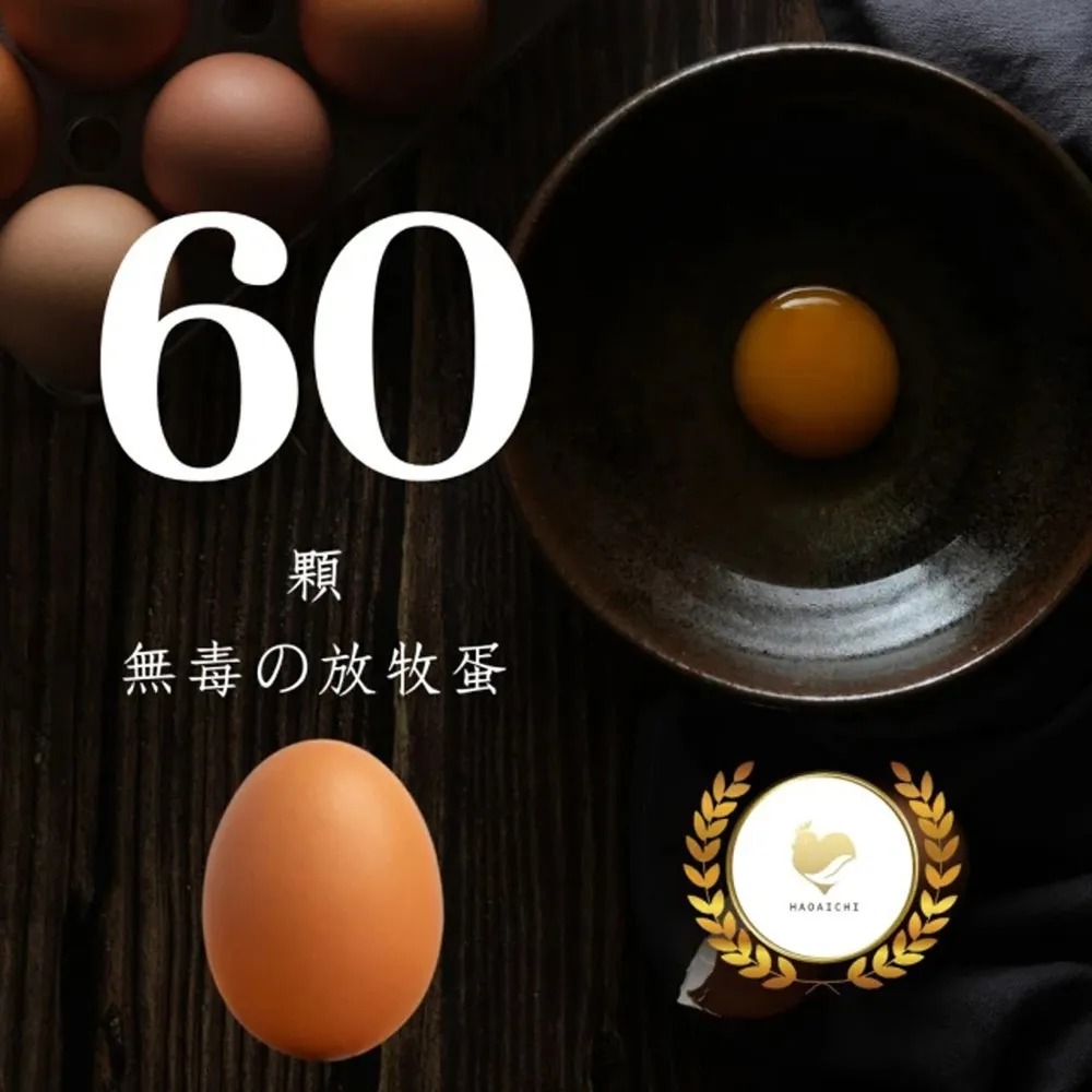 【HAOAICHI 好愛雞】無毒の放牧蛋 紅殼 中家庭2盤 共60顆(30顆/盤)非籠飼 無藥殘 無毒飼料 雞蛋