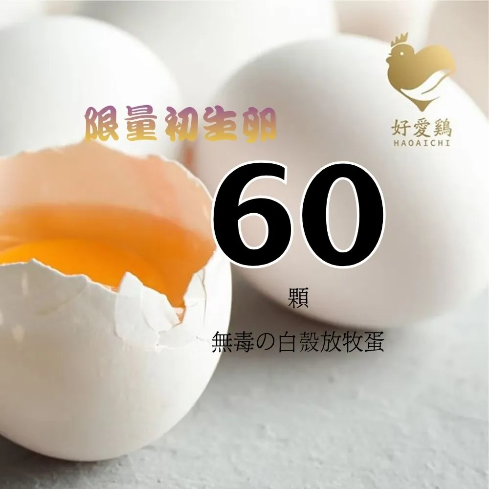 【HAOAICHI 好愛雞】限量初生卵 無毒の白殼放牧蛋 中家庭2盤 共60顆組(30顆/盤)非籠飼無藥殘無毒 雞蛋