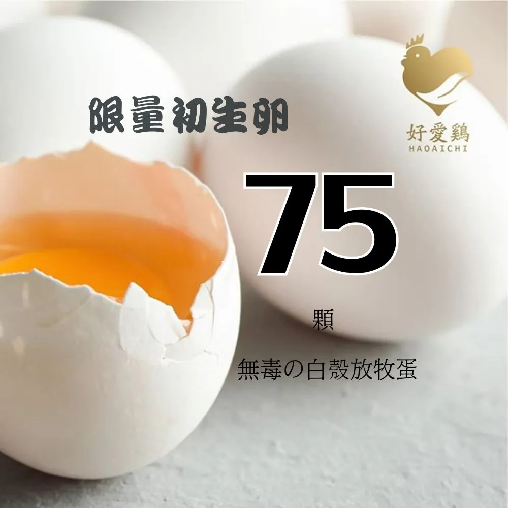 【HAOAICHI 好愛雞】限量初生卵 無毒の白殼放牧蛋 小家庭盤裝 共75顆組 非籠飼無藥殘無毒飼料 雞蛋