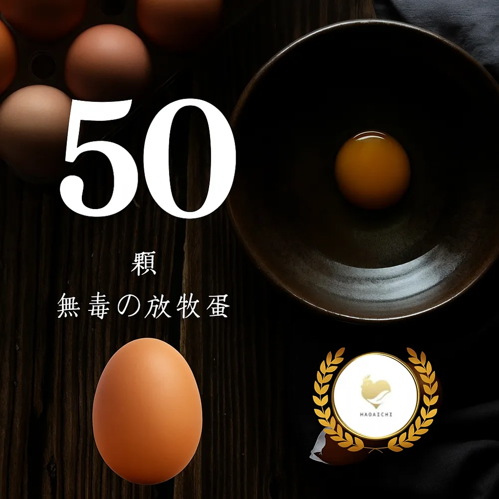 【HAOAICHI 好愛雞】無毒の放牧蛋 紅殼 中家庭5盒 共50顆(10顆/盒) 非籠飼 無藥殘 無毒飼料 雞蛋