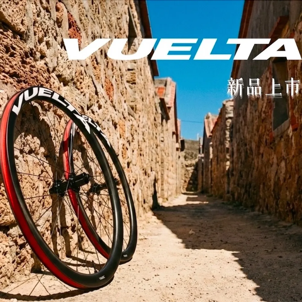 【GIANT】捷安特 VUELTA PRO 系列 碳纖維 鋼絲 輪框 碟煞 中鎖式 輪組 公路車 自行車