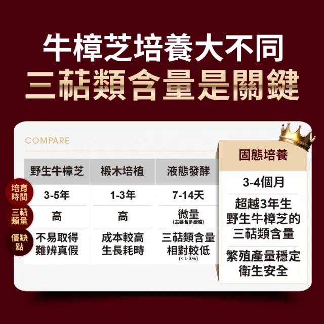 【EatBLISS 益比喜】健字號 就甘清牛樟芝菌絲膠囊3入組(30入/盒 護肝 增強體力 提振精神)