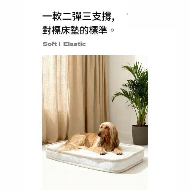 【IPSKY】小型犬專用狗狗床墊 高彈寵物狗床 防水可拆洗狗窩 寵物睡床 狗狗睡墊 室內寵物窩墊