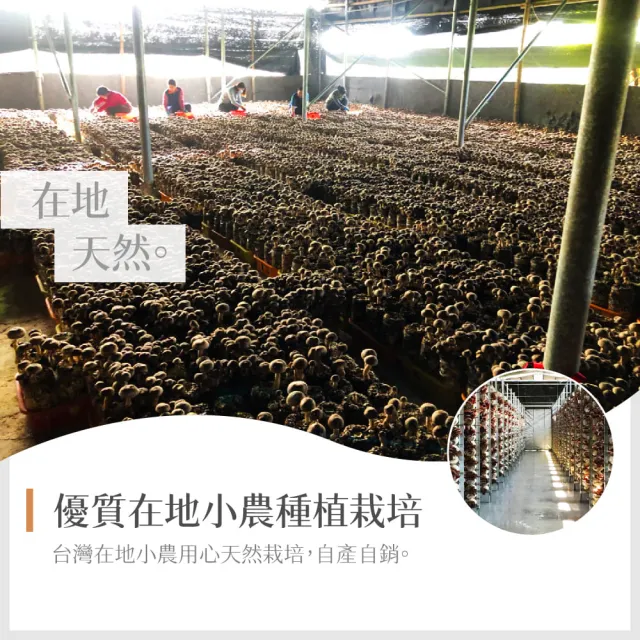 【GoodFood 好福食品】埔里菇寶 台灣認證黑早香菇 黑皮冬菇(中菇3.4-5公分/100g*2包入★伴手禮 禮盒)