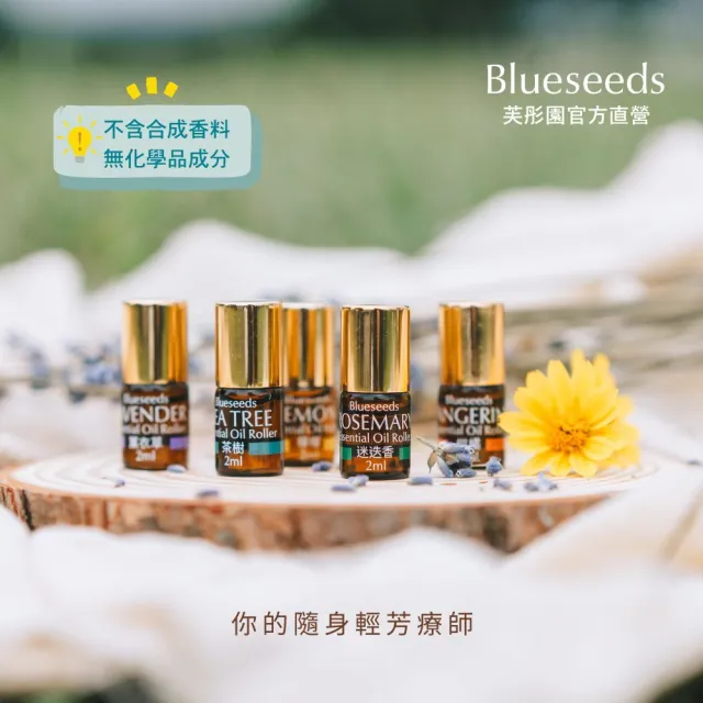 【Blueseeds】每日舒活滾珠按摩精油組5支入(薰衣草/柑橘/茶樹/迷迭香/檸檬)｜芙彤園