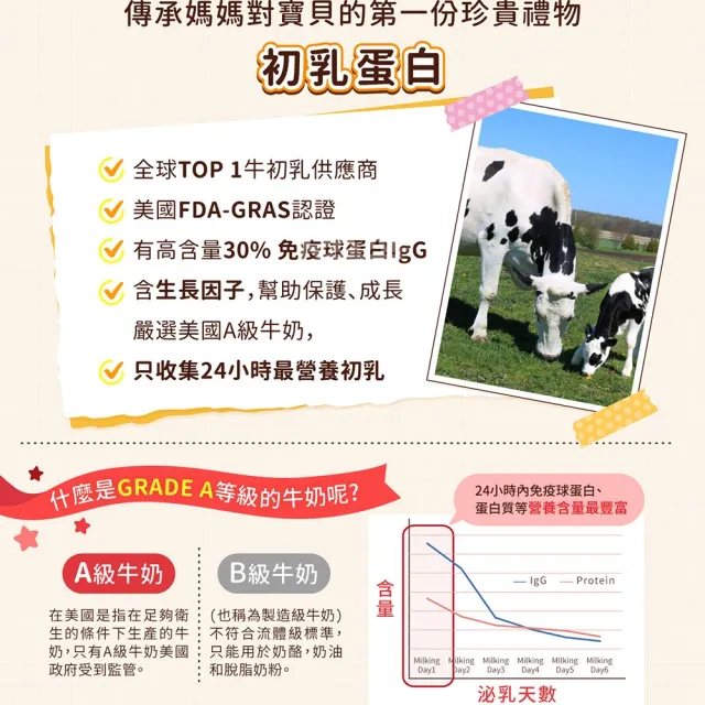 【小兒利撒爾】麵包超人 綜合乳鐵藻精蛋白 90包2盒組 共180包(乳鐵蛋白+初乳蛋白+藻精蛋白+DHA藻油)