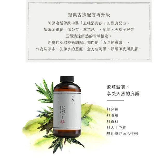 【阿原】艾草洗頭水500mLx2(洗髮精)(清潔同時保養)