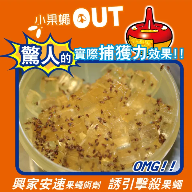 【興家安速】果蠅餌劑38g(3入量販包)