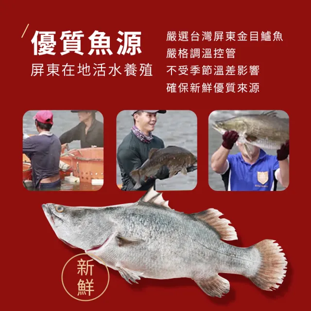 【HomeDr.】一開即飲小分子胜肽鱸魚精x1盒(60mlx6瓶/盒 共6瓶 年節送禮 增強體力 調整體質)