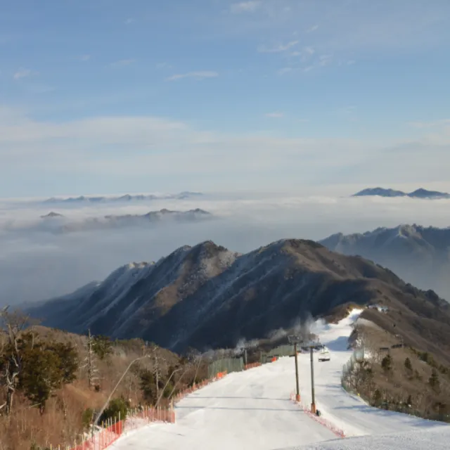 【喜鴻假期】★不進人蔘保肝.清心首爾5日★保證入住滑雪度假村一晚、冬季滑雪、壽岩谷展望台