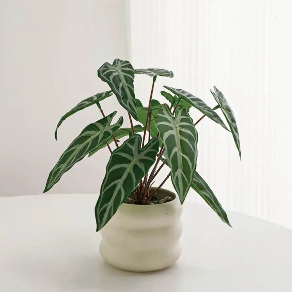 【Floral M】居家綠意滴水觀音25cm仿真植栽含花器(人造植栽/仿真樹/室內佈置/居家裝飾/桌上型植栽)