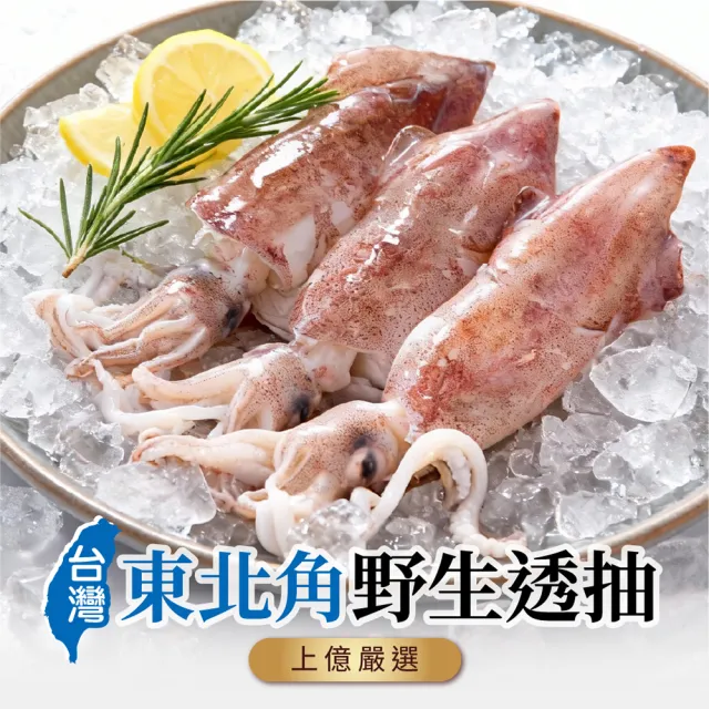 上億嚴選台灣東北角當季野生透抽