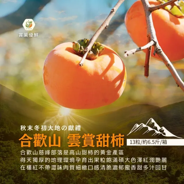 【賞菓優鮮】合歡山高海拔雲賞甜柿9A箱裝1箱(13粒/6.5斤/箱)(秋天的營養寶庫_完熟現採_產地直送)