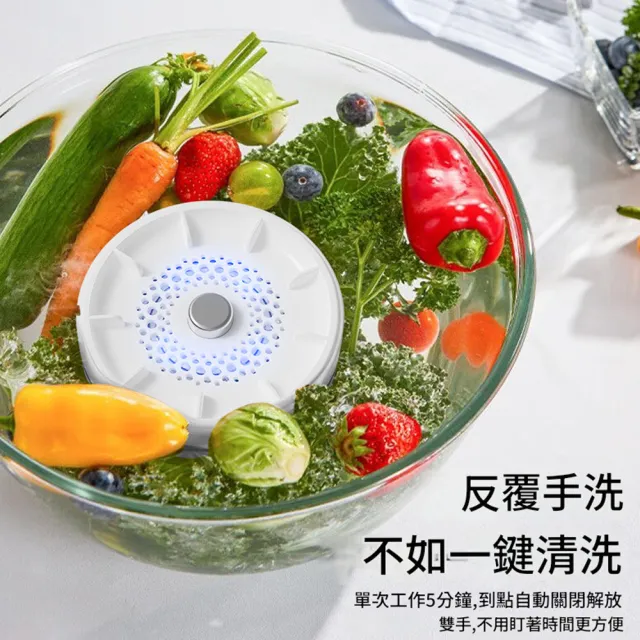 Eco森活 臭氧發生器 800mg/h（果蔬機 洗菜機 食材凈化機 果蔬清洗機 蔬果消毒機 負離子凈化機）