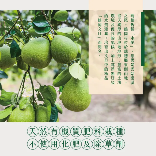 【初品果】海伯花蓮鶴岡 外銷40年老欉精品文旦禮盒 10斤7-9顆 x2箱(大果 中秋禮盒 企業採購 送禮)