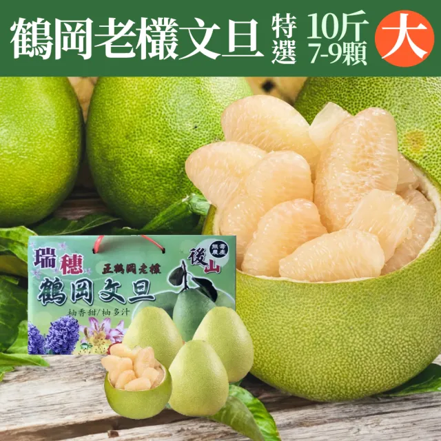 【初品果】海伯花蓮鶴岡 外銷40年老欉精品文旦禮盒 10斤7-9顆 x2箱(大果 中秋禮盒 企業採購 送禮)