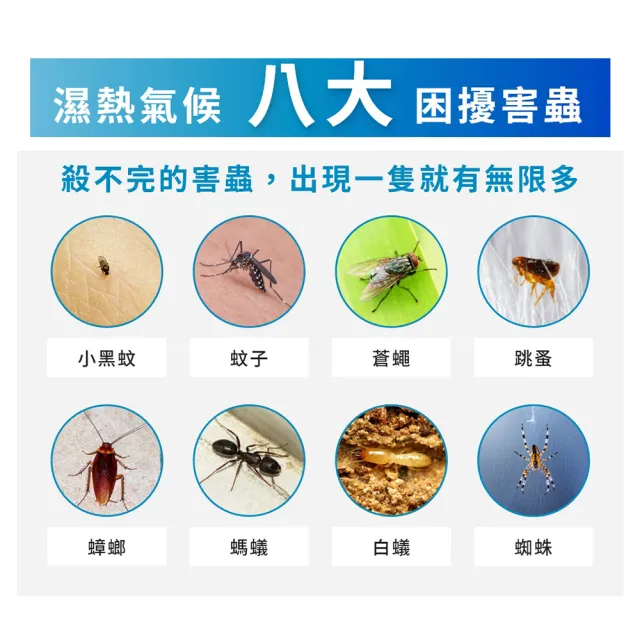 【福來朗】多效滅蟻2入組(水性除蟲噴霧*1+除螞蟻膏*1)