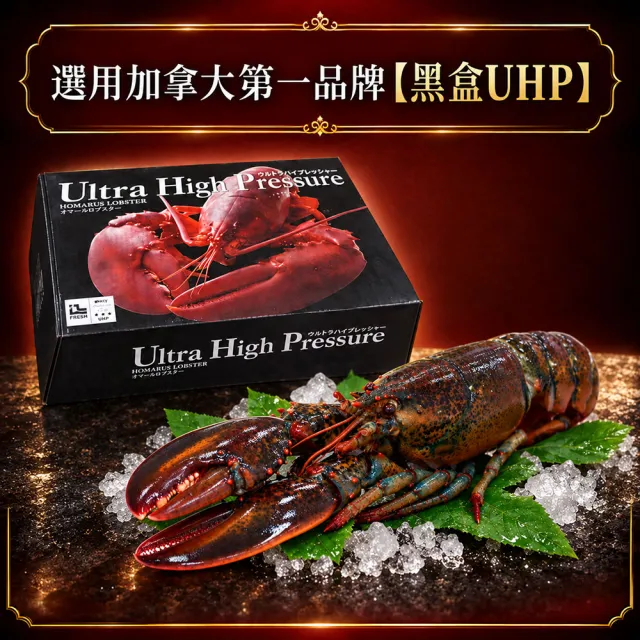 【優鮮配】高壓波士頓龍蝦650gX2隻/UHP黑盒/波龍第一品牌/HPP高壓殺菌 /蝦肉不黏殼