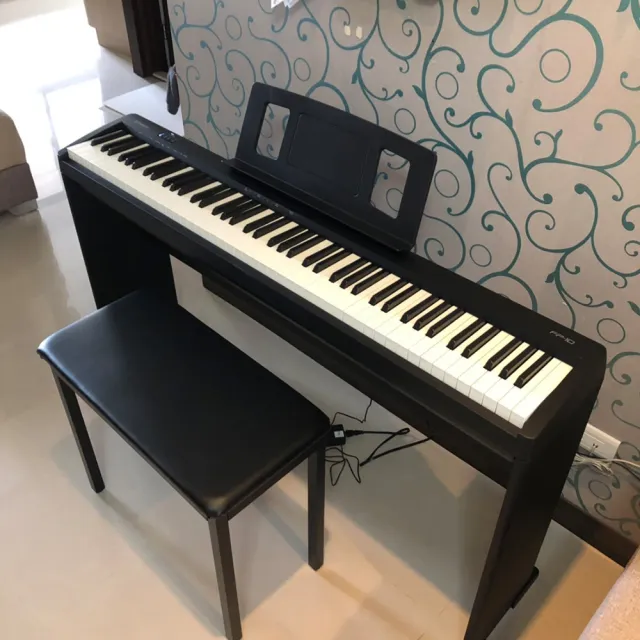 【ROLAND 樂蘭】FP-10 標準88鍵 數位鋼琴 (贈琴椅/原保2年/琴師到府安裝)