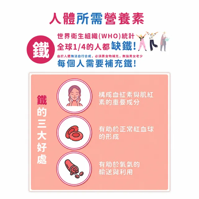 【永信藥品】綜合維他命B群+鐵錠(90錠/瓶)