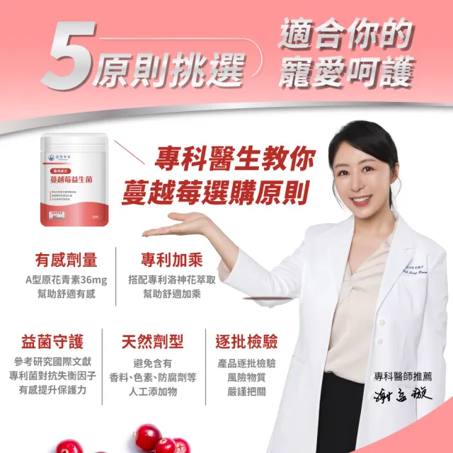 【達摩本草】蔓越莓益生菌 6入30顆/包(專科醫生推薦、足量原花青素)