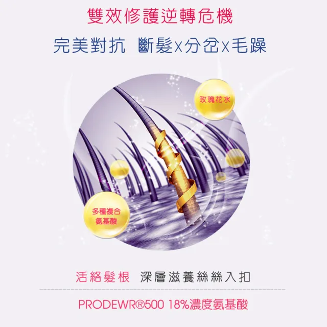 【雅聞倍優BIOCHEM】玫瑰全效洗髮精 950ml