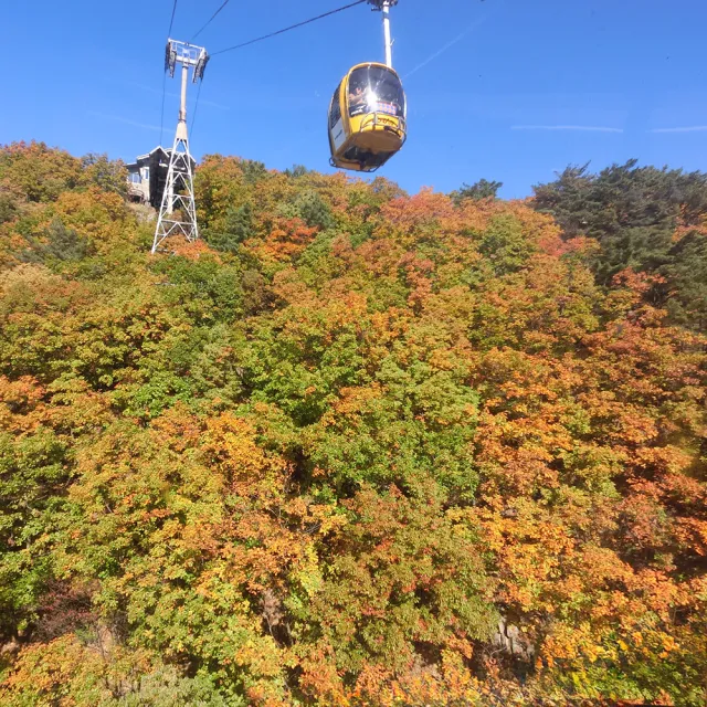 威風釜慶邱賞楓五日-八公山、金井山城、梵魚寺、東萊鄉校、加耶公園、海岸列車、塗鴉秀