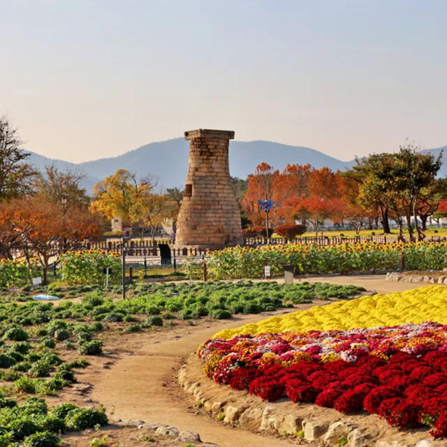 威風釜慶邱賞楓五日-八公山、金井山城、梵魚寺、東萊鄉校、加耶公園、海岸列車、塗鴉秀