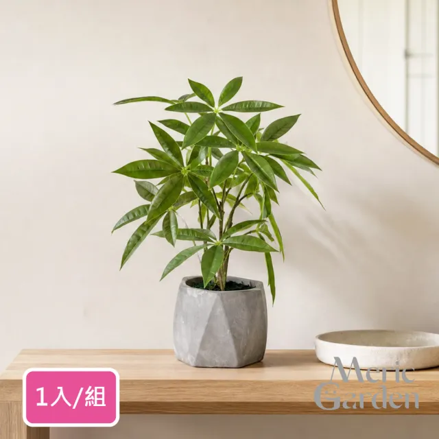【Meric Garden】高仿真招財發財樹療癒手工水泥小盆栽 (辦公室必備 招財樹 仿真植物 微景觀 招財必備)