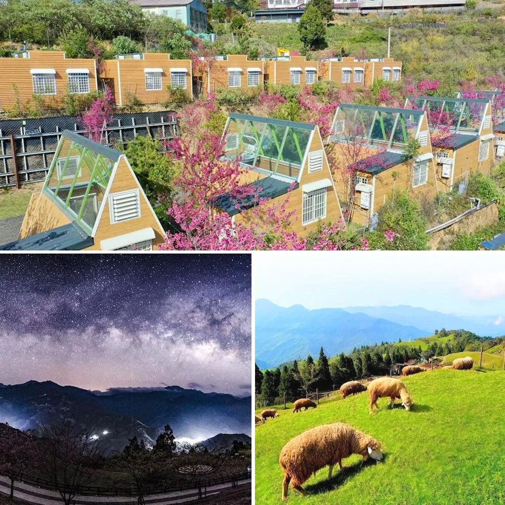 南投清境基路伯營區｜星空玻璃蜂箱露營屋★4大送2位12歲以下免費住(加大雙人床.獨立衛浴)