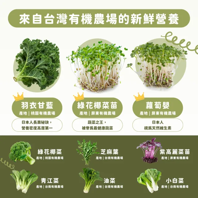 【Dr. Ginger 薑博士】超青汁6盒組(30包/盒;花椰菜苗/羽衣甘藍/蘿蔔硫素)