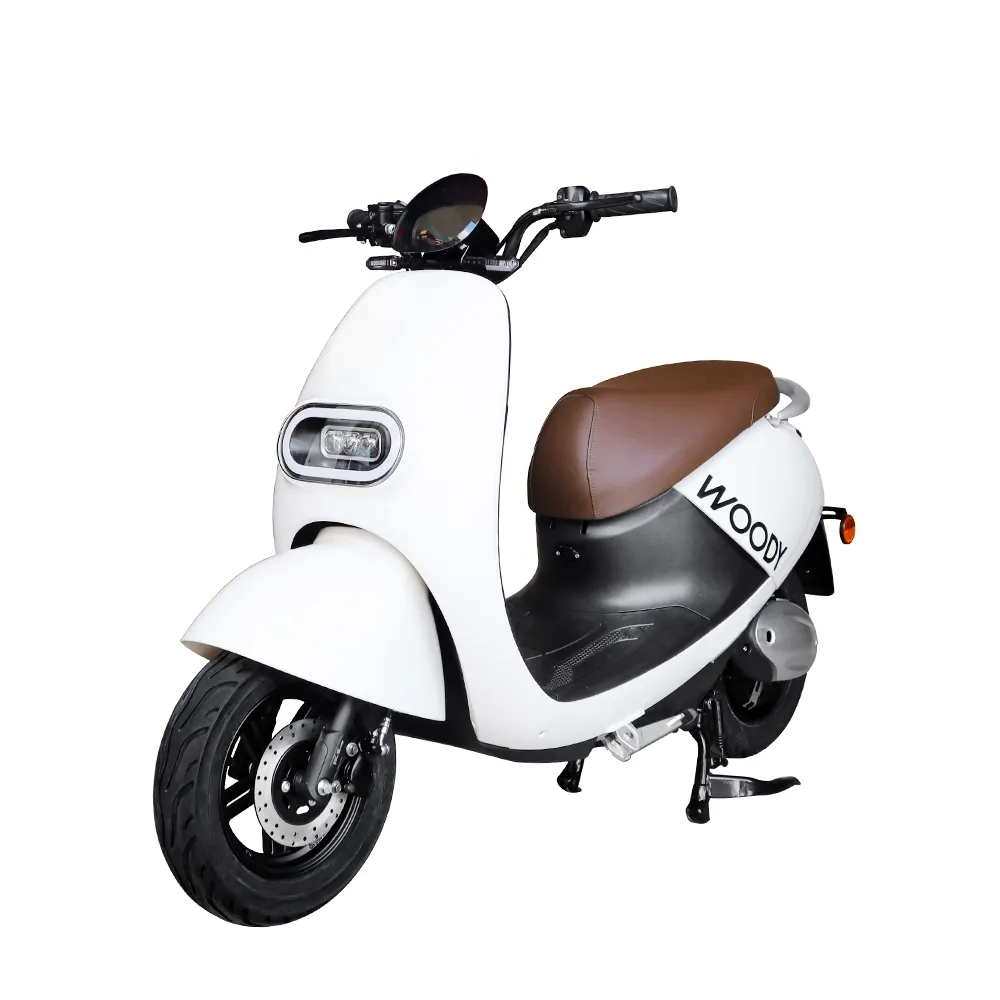 【e路通】EA-R99 追風 碟煞前後避震 微型電動二輪車(電動自行車)