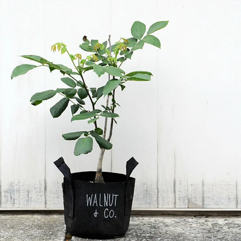 【Root Pouch】美植袋(W35cm H30cm/30L)