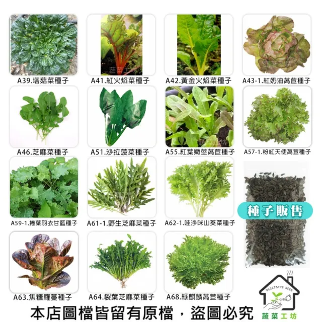 【蔬菜工坊】新手秋冬可栽培短期收成葉菜類種子系列(各包裝數量詳見內文及圖片)